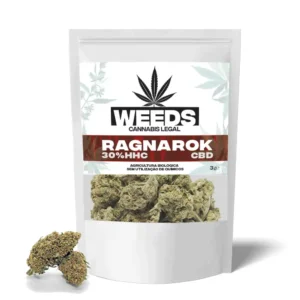 Flores HHC 30% 3gr Ragnarok – Weeds